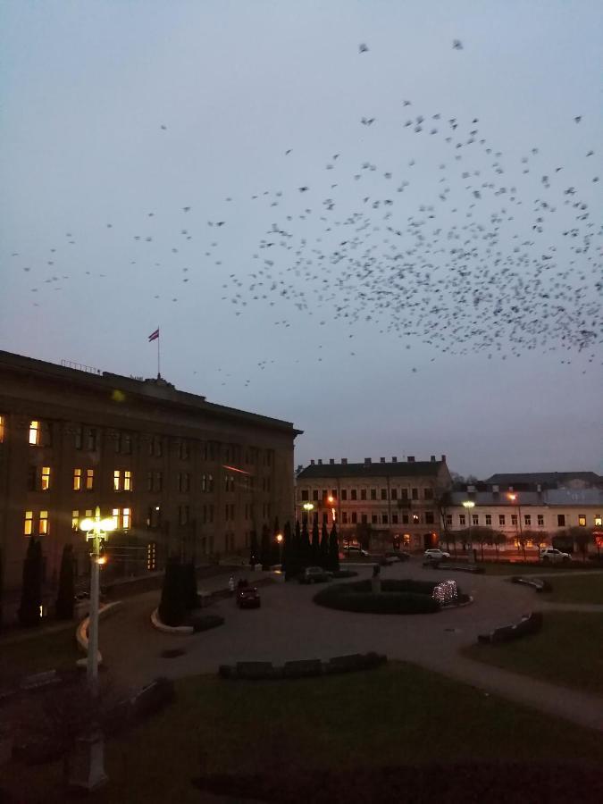 Vienibas 11 Daire Daugavpils Dış mekan fotoğraf